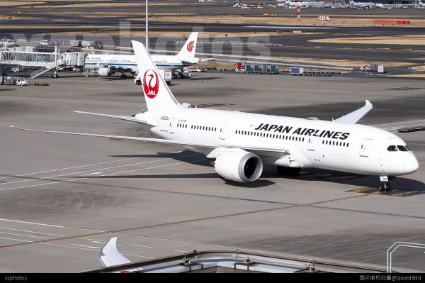 ”Dreamliner“