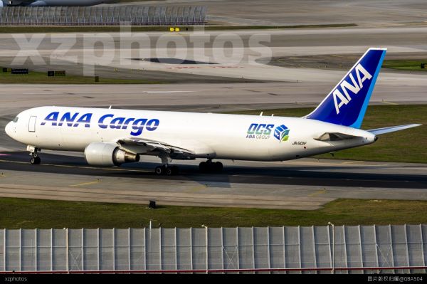 ANA cargo DCS贴纸