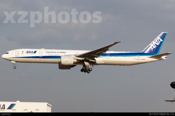 全日空77W