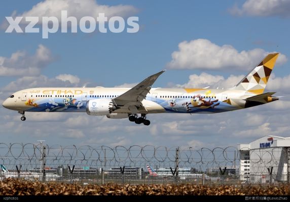 Etihad Warner Bros. World彩绘