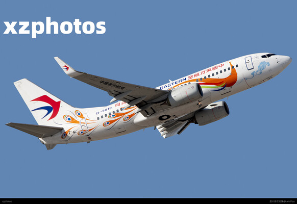 MU737-5819