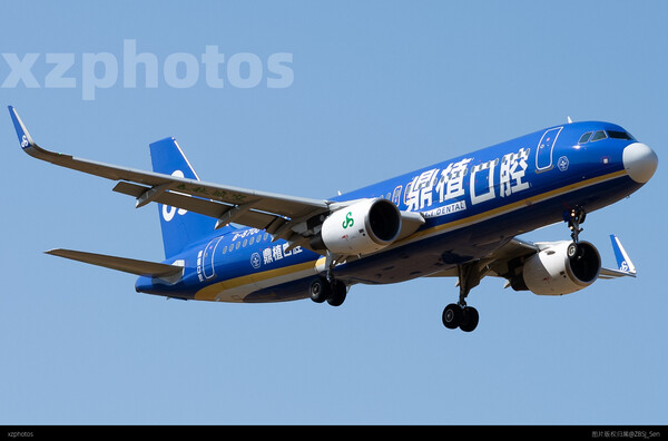 鼎植口腔航空