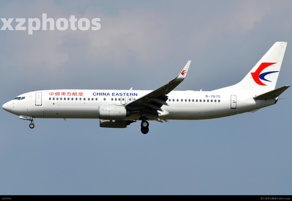 B-7875