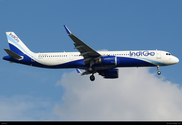 indigo