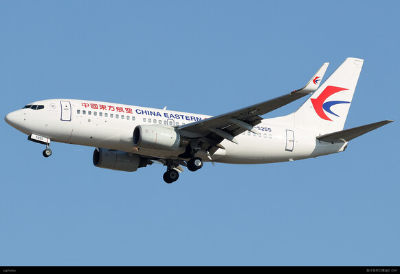 737