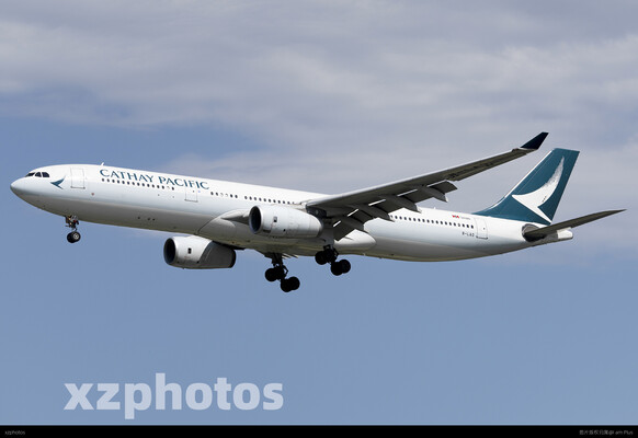 CX333-LAO-2