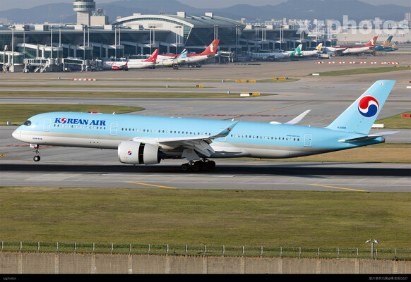大韩359