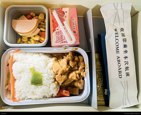只有一片青椒的青椒鸡肉饭