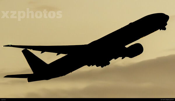 B-7881