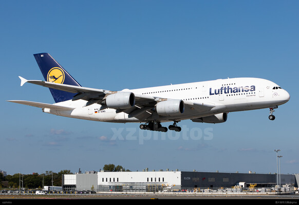 D-AIMA