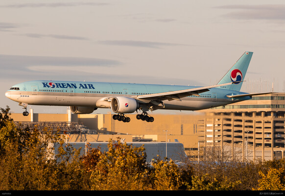 沐浴在金色的阳光中到来