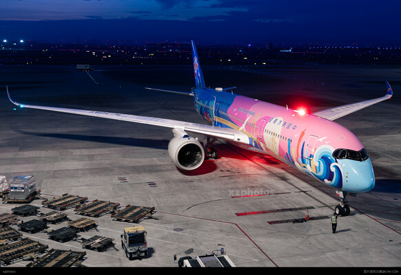 B-308T从巴黎归来