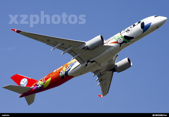 四川航空熊猫彩绘