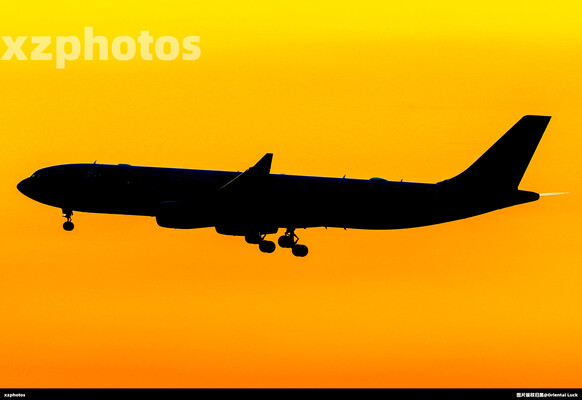 东航迪士尼彩绘