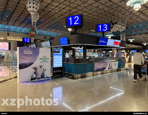 中华航空疯狂动物城值机柜台