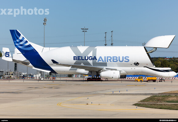 Beluga XL