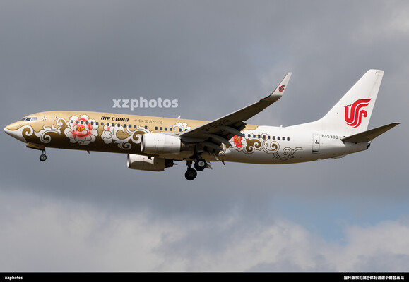 国航737牡丹彩绘