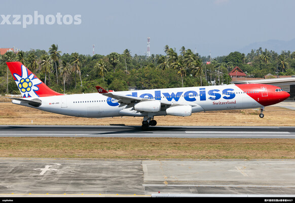 Edelweiss雪绒花A343