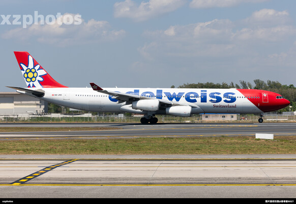 Edelweiss雪绒花A343