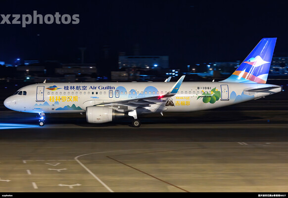 桂林航空罗汉果彩绘