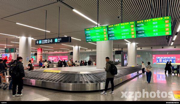 CSXT2国内到达行李转盘