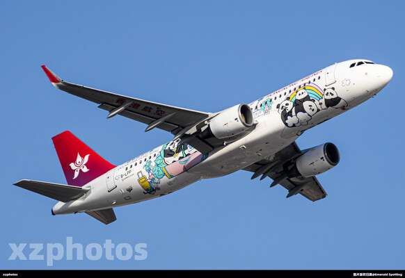 港航熊猫彩绘机亮相 首航飞往成都