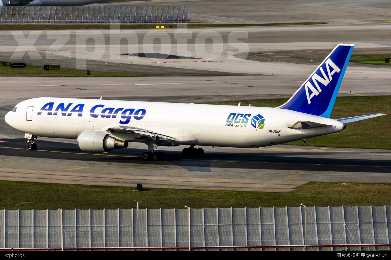 ANA cargo DCS贴纸
