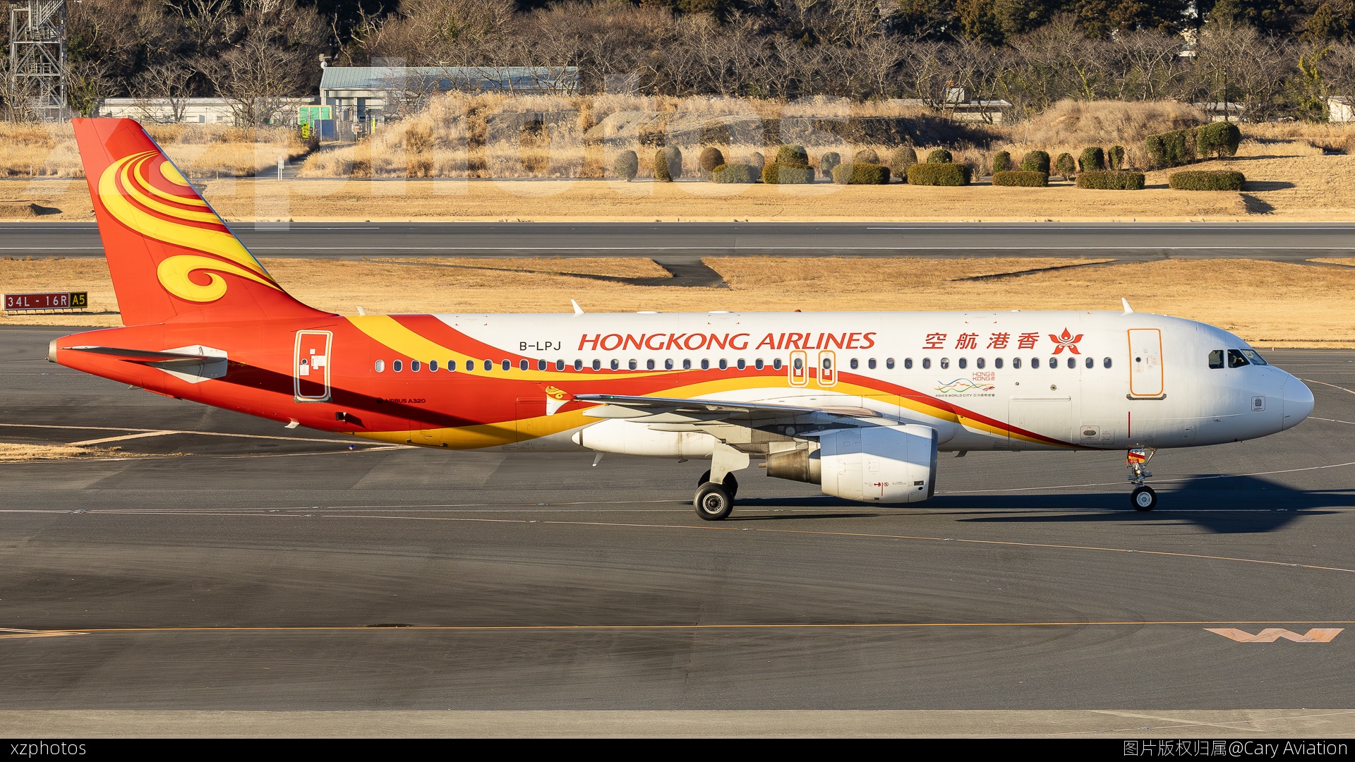 B-LPJ