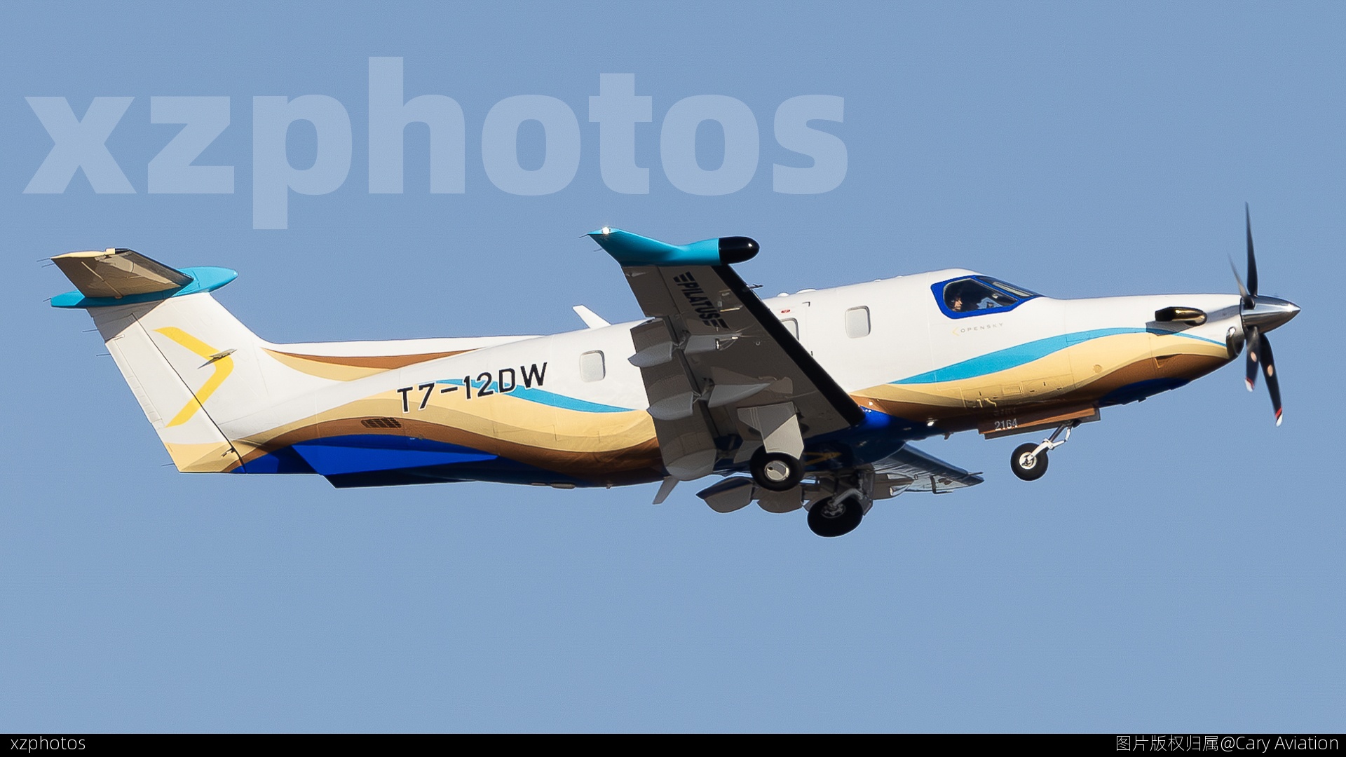 T7-12DW