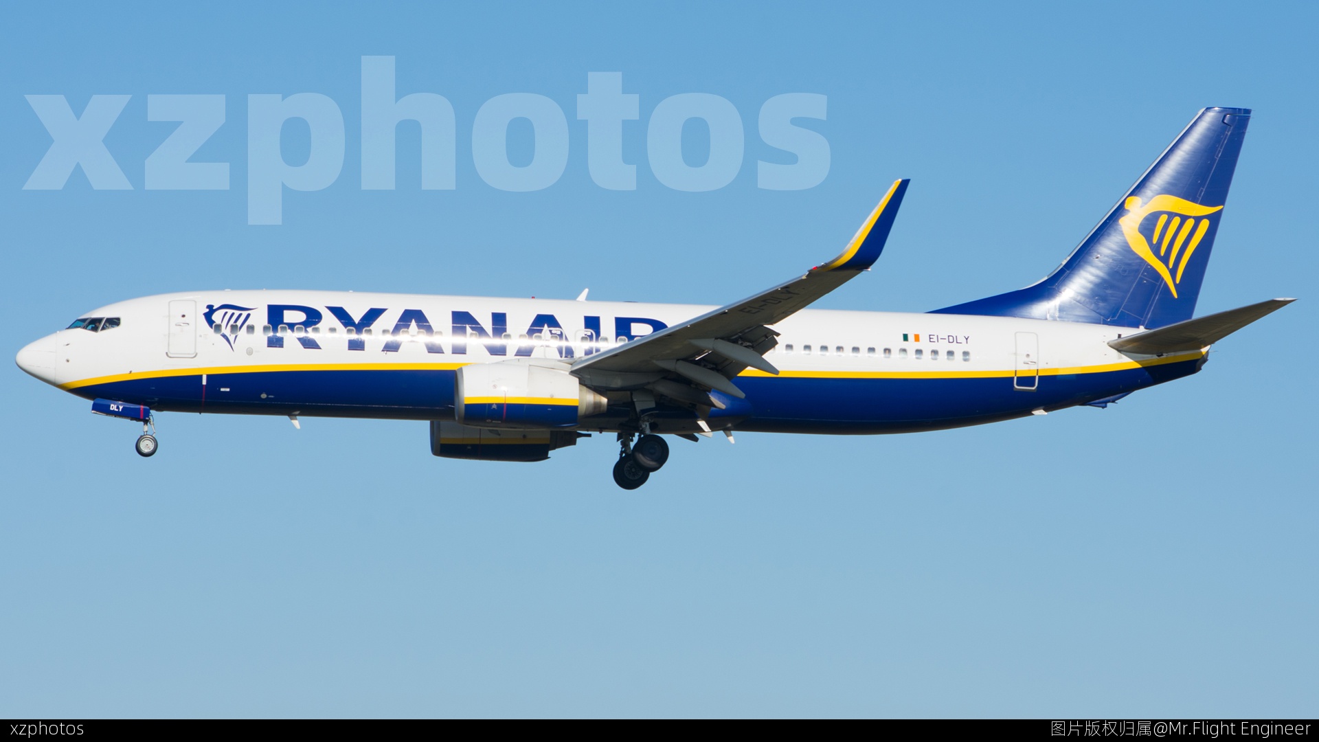 EI-DLY