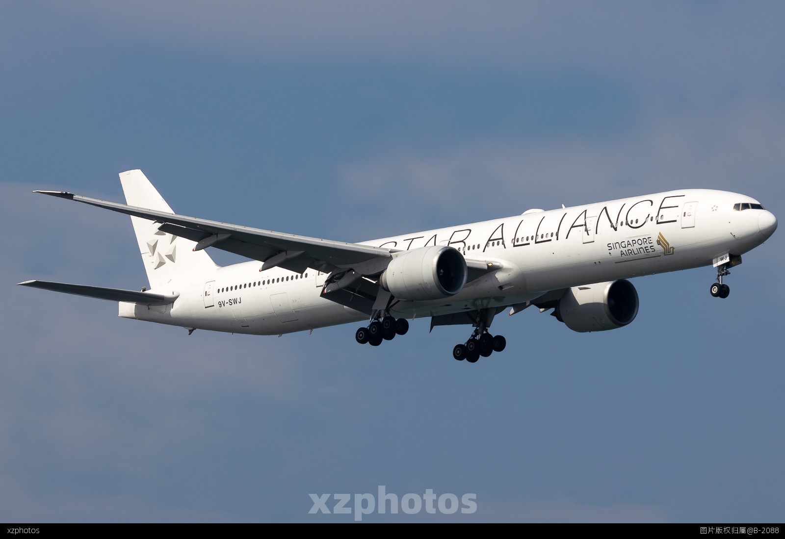 新加坡STAR ALLIANCE