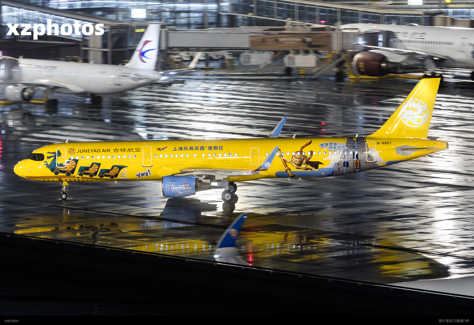 HO8001 SHE-SHA