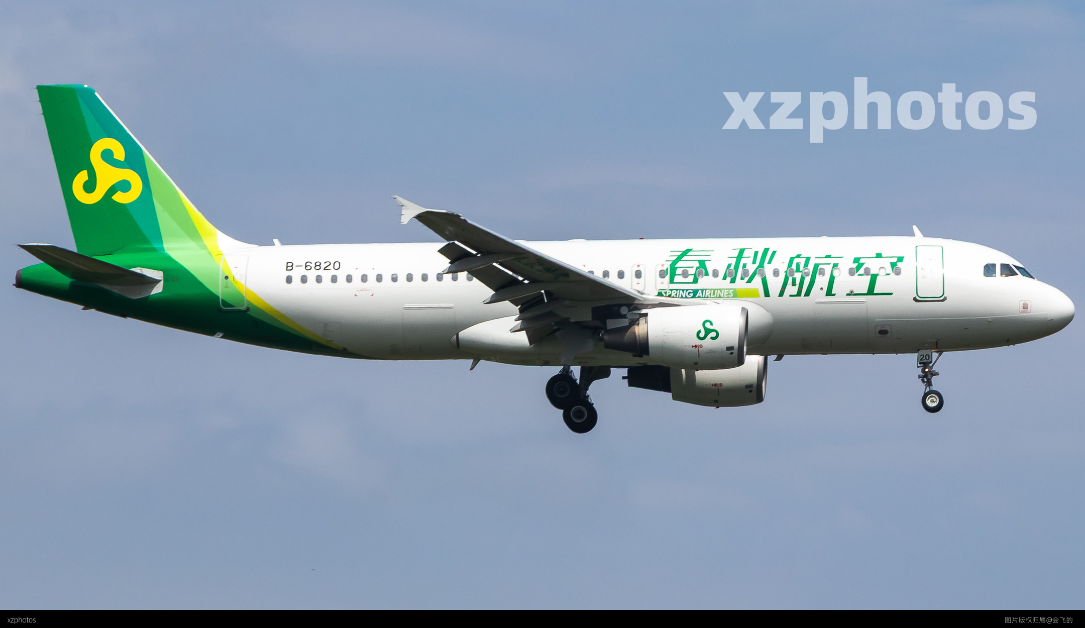 Spring airline