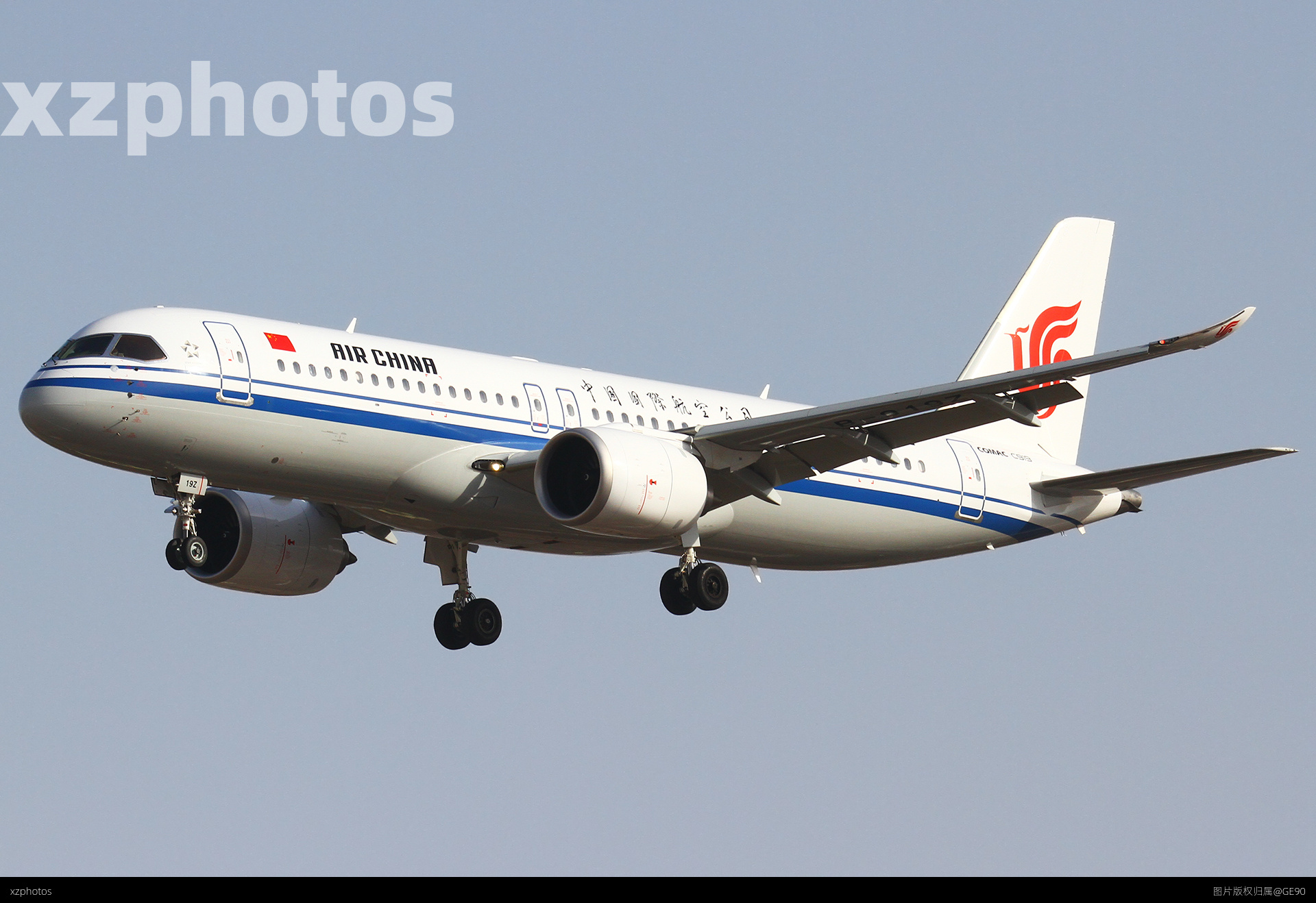 B-919Z