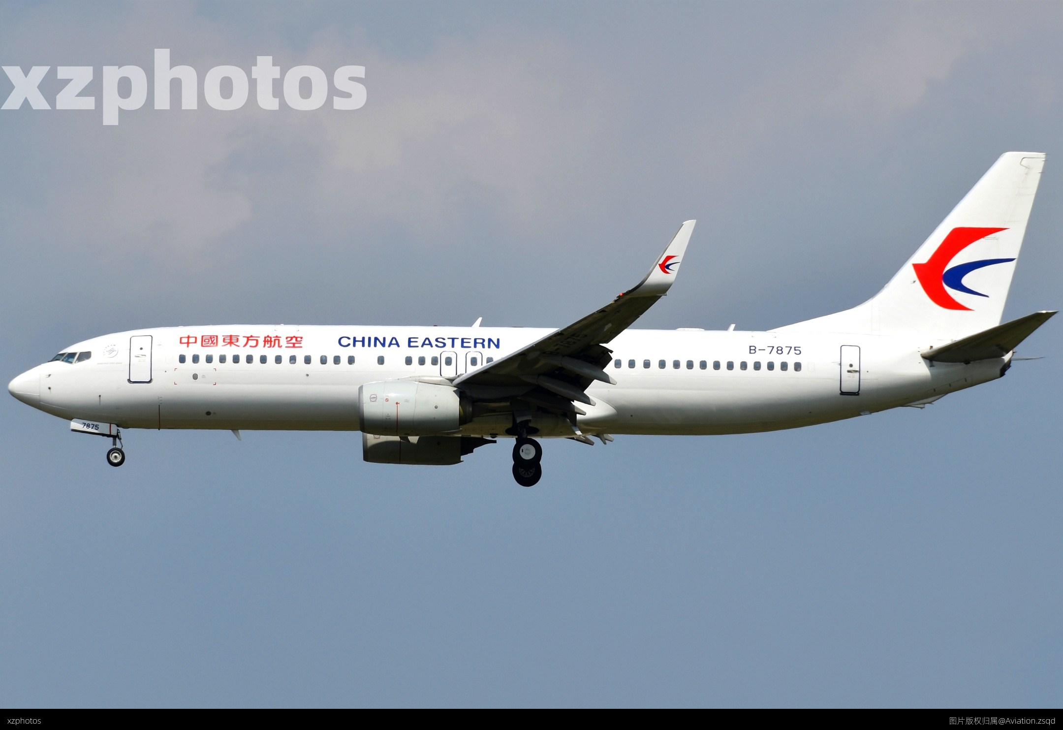B-7875