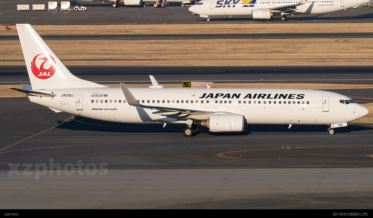 JA316J黄金光
