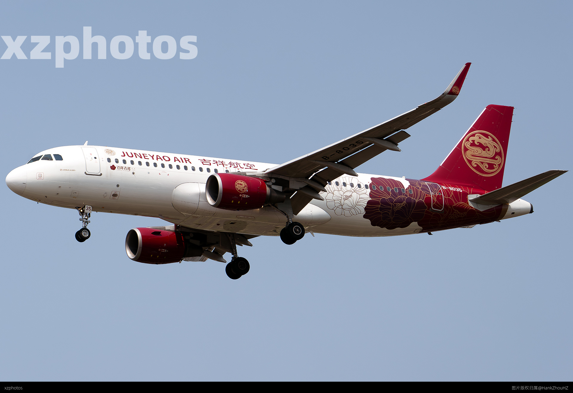 B-8035(吉祥航空百年吉祥彩绘）