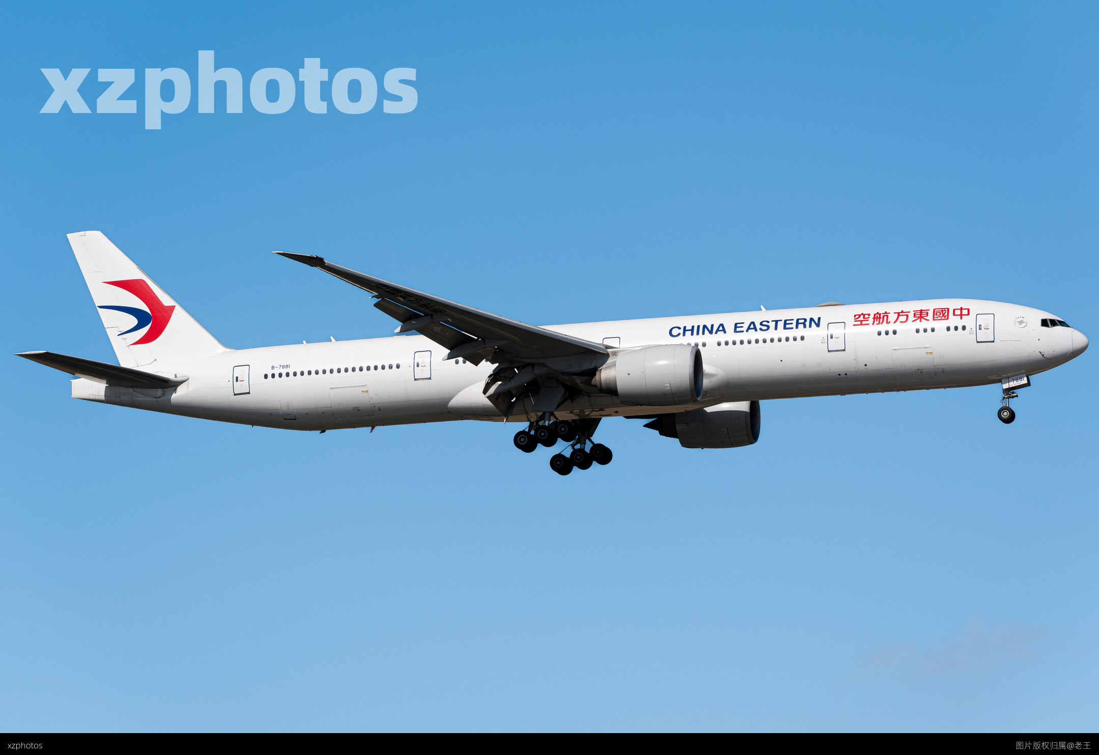 B-7881
