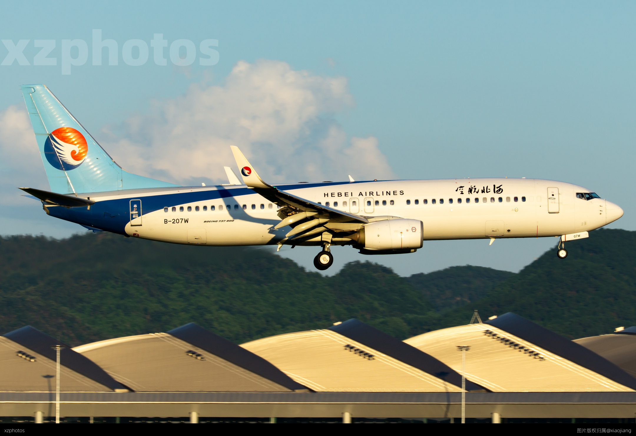 B-207W