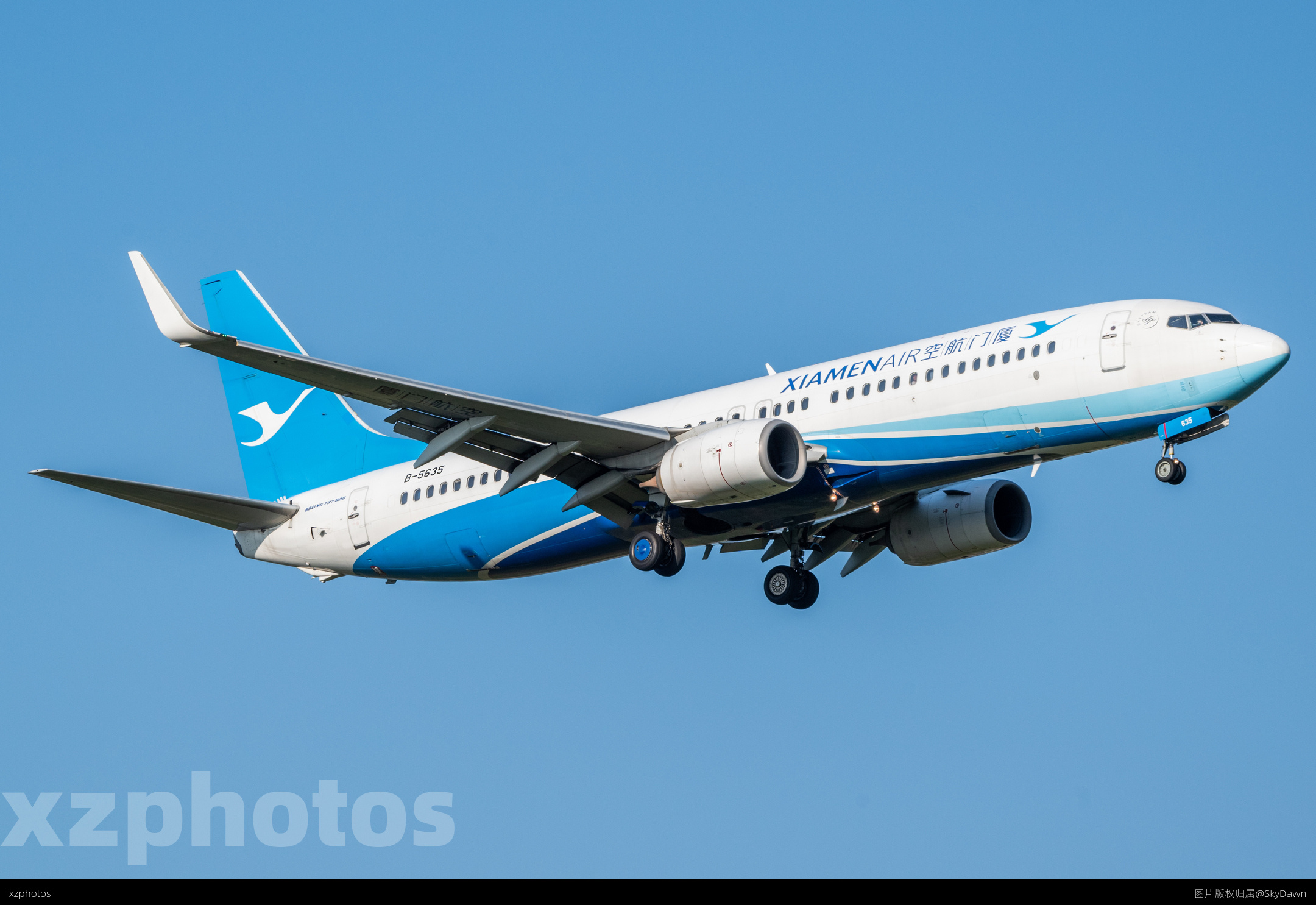 白鹭737
