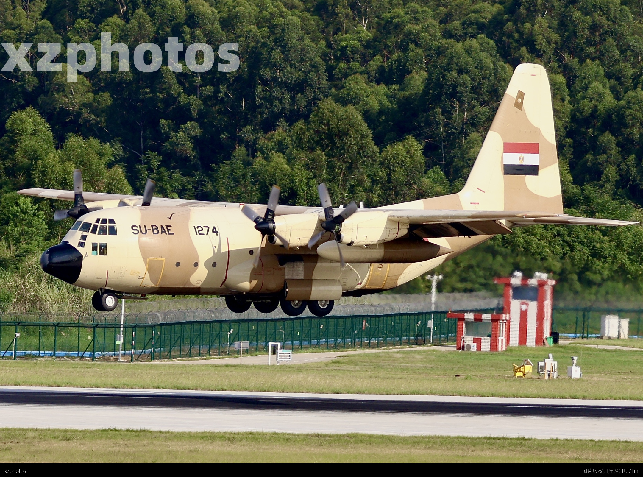 埃及空军C-130