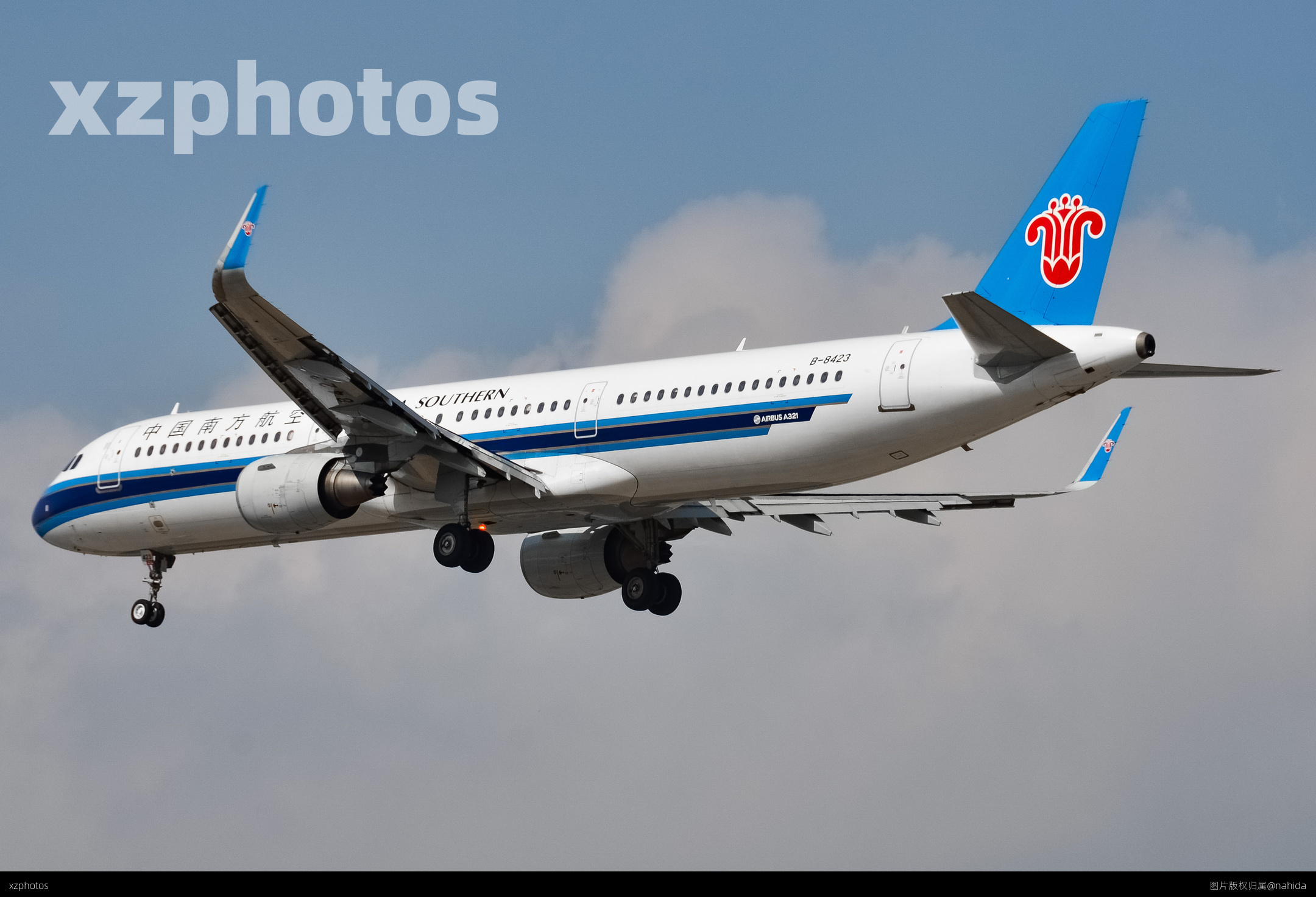 B-8423
