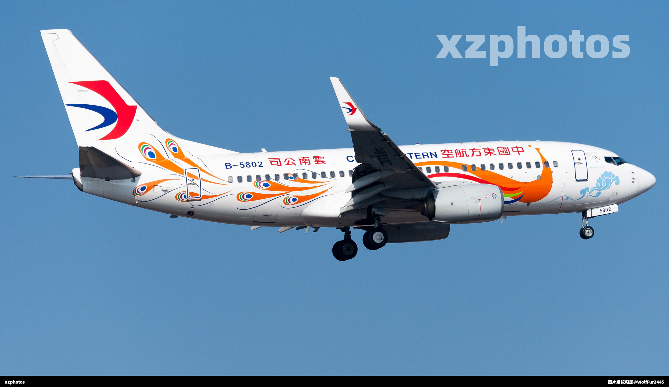 东航737-700金孔雀