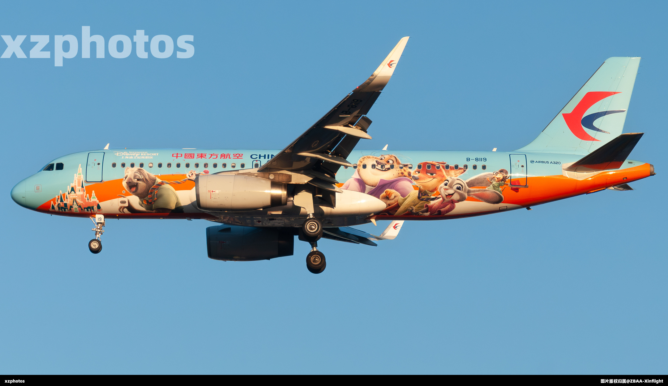 东航x疯狂动物城