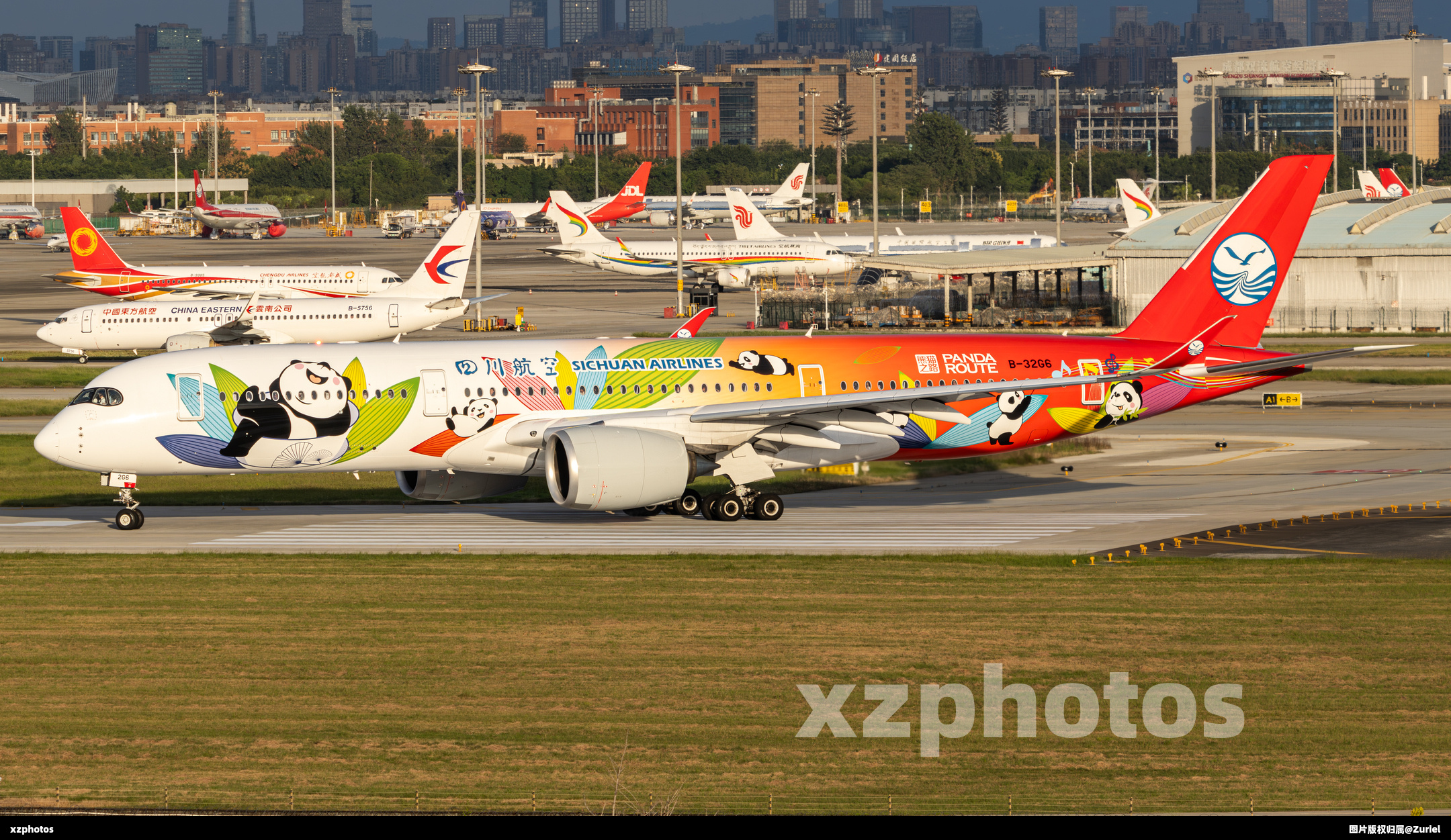 黄金光下的川航熊猫