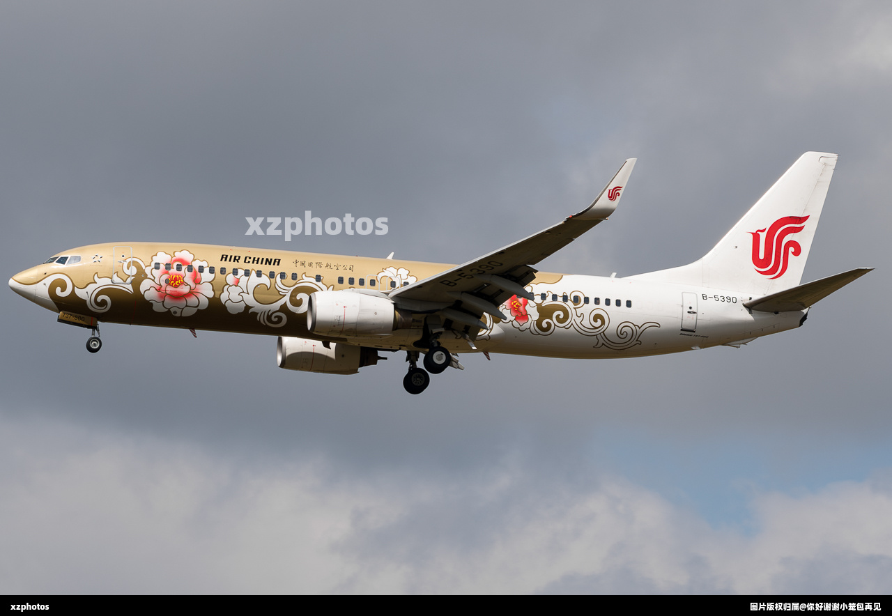 国航737牡丹彩绘
