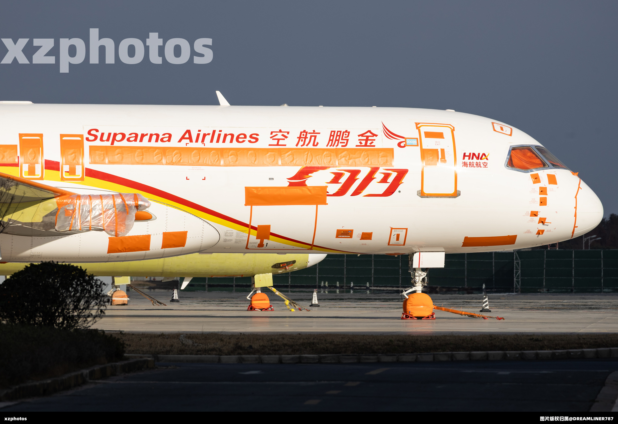 海航旗下金鹏航空首架C919国产大飞机亮相