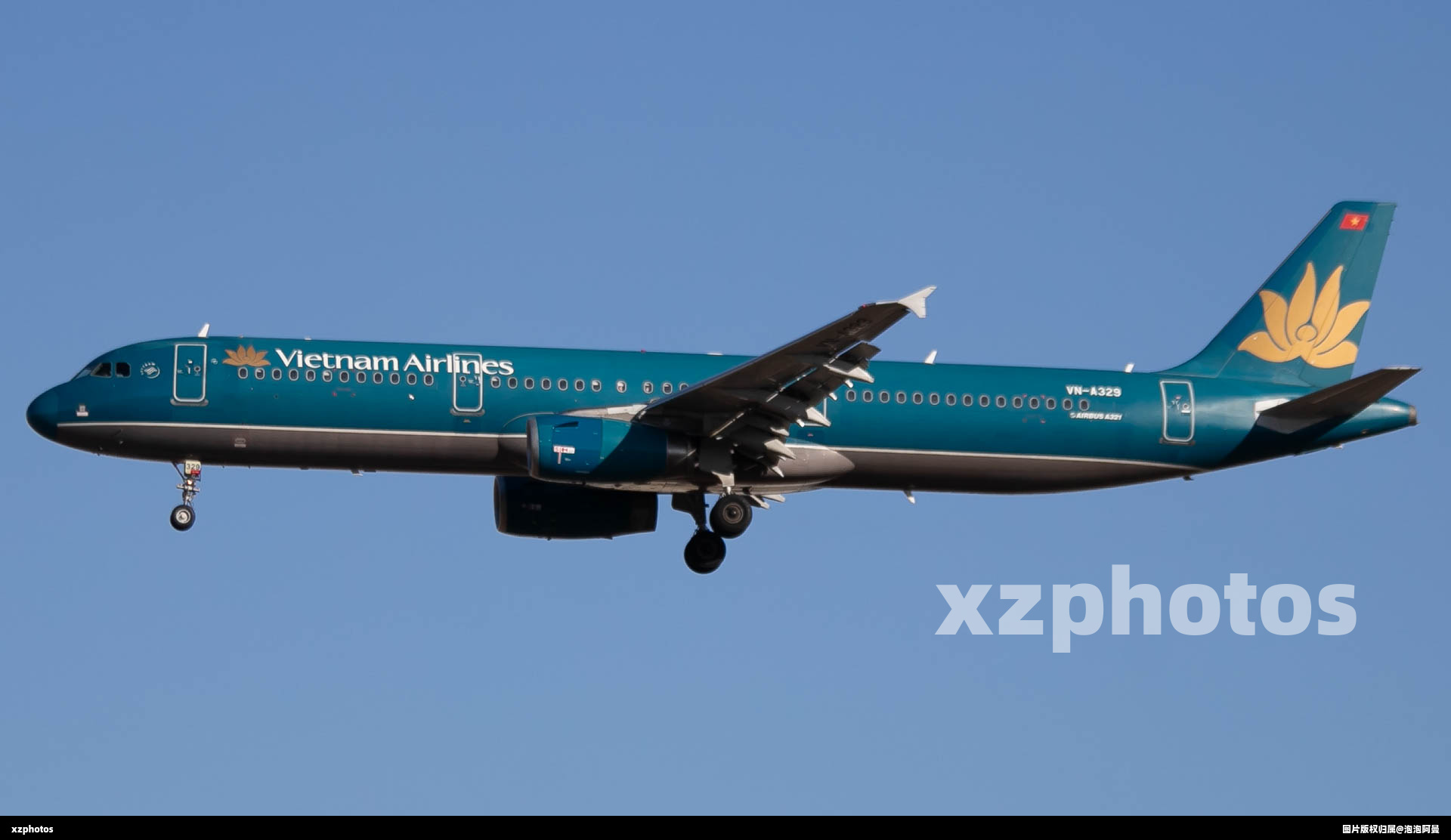 VN-A329