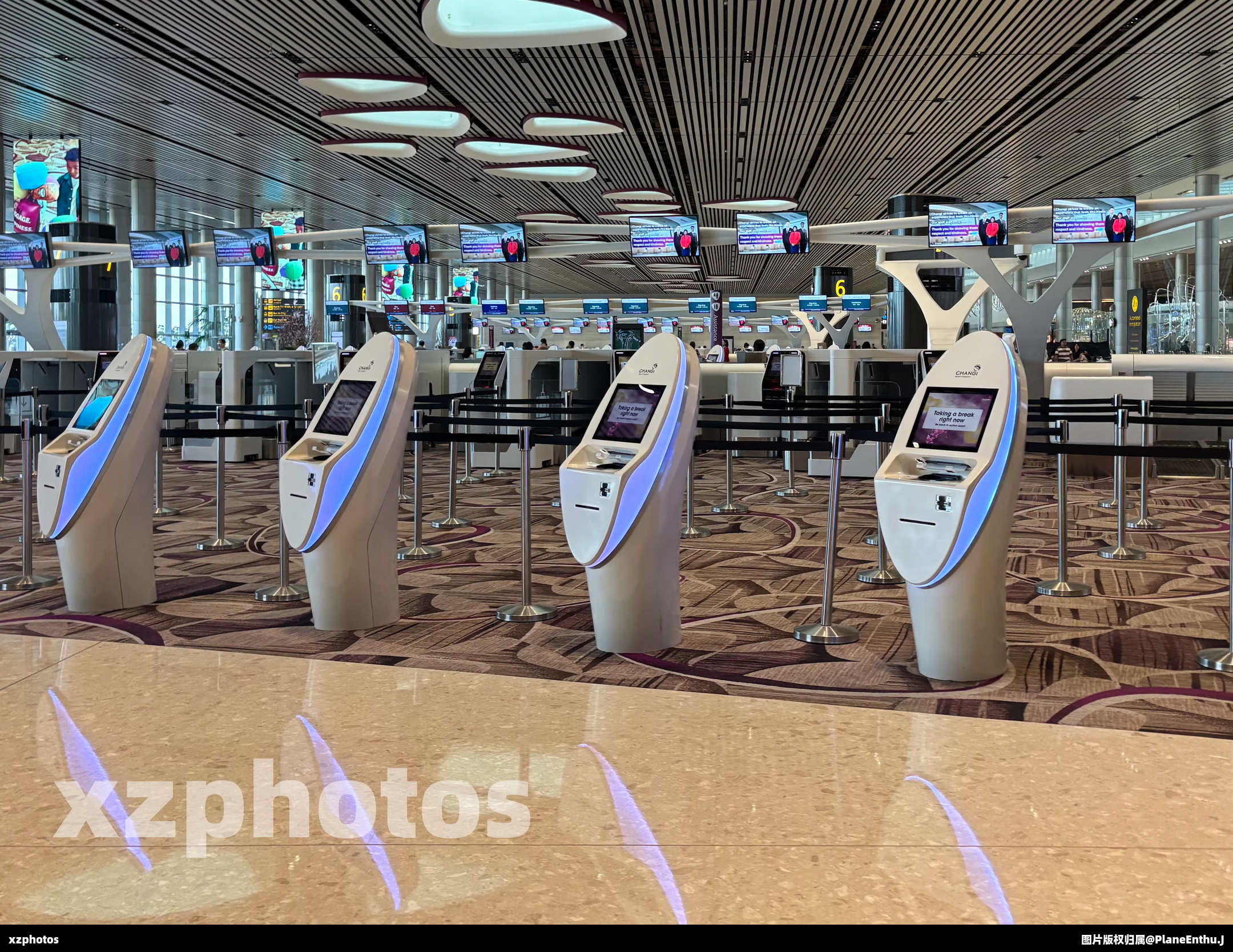 Changi Airport T4 check in counter