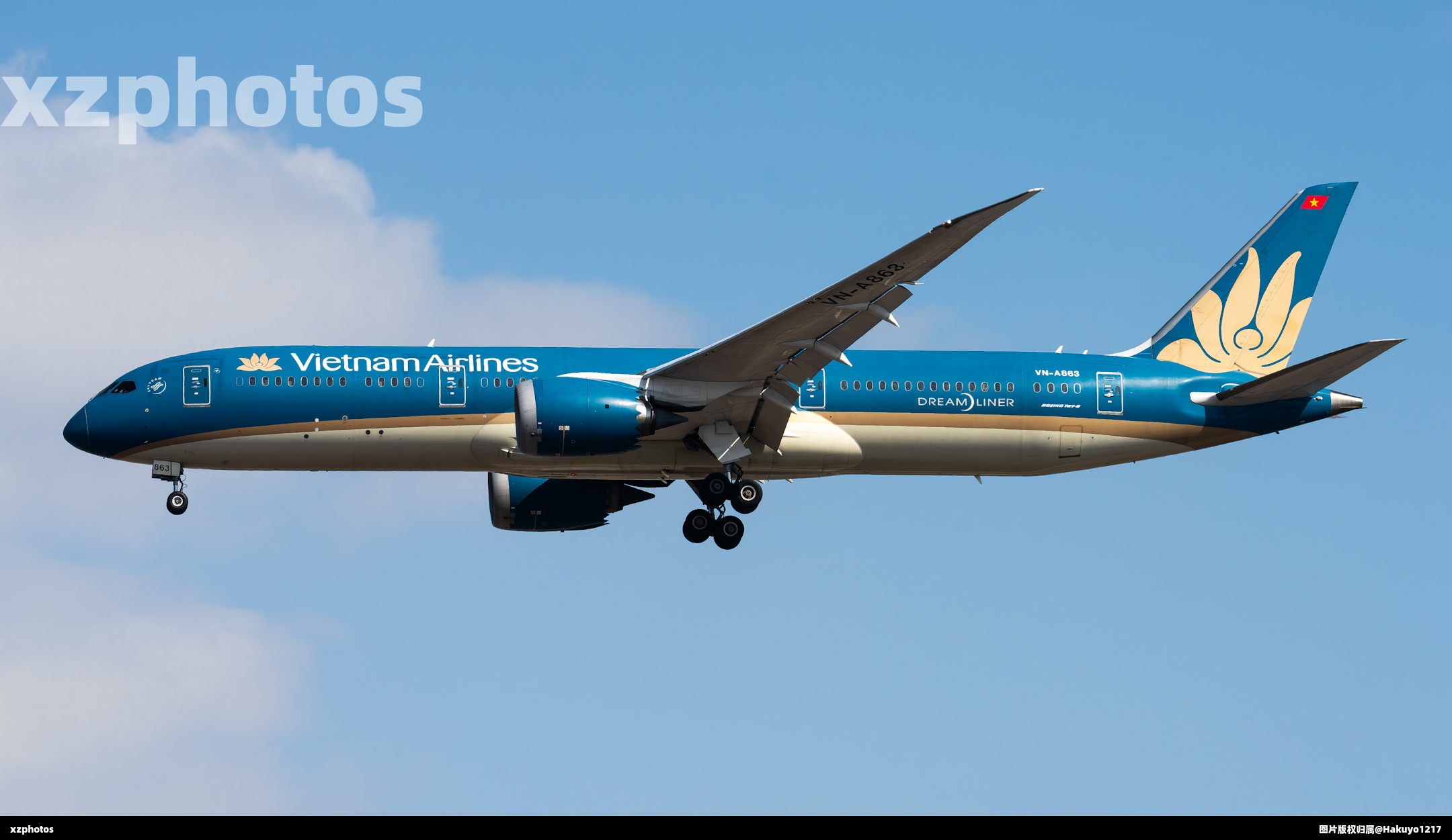 VN-A863